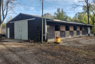 Building Repair & Renovations 17